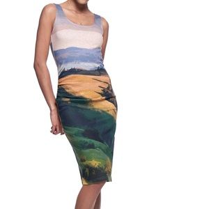 THE KIT by Daniel Vosovic mountain postcard cotton jersey midi tank dress Sz S